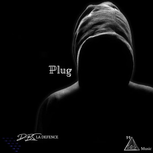 Plug