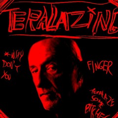 Mike Ehrmantraut in: TERALAZING