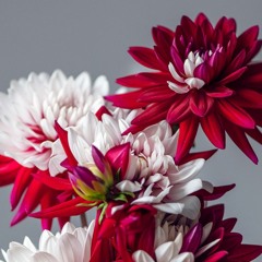 في ١٩٥٢ سورة  الأحزاب و الطارق و العلق  طنطا السيد البدوي مصطفى اسماعيل