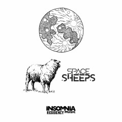Insomnia Residency - Space Sheeps