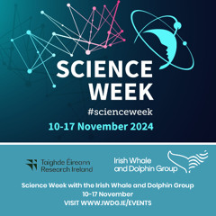 Science Week with the Irish Whale and Dolphin Group