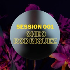 Session 001