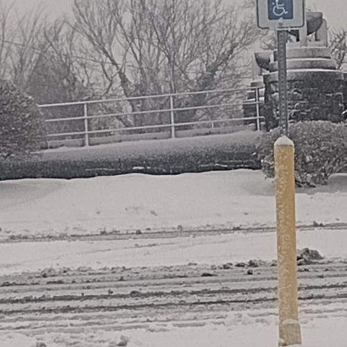 icarus (scottysplash)