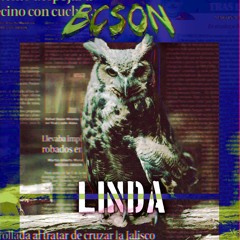Chang X Fantom - LINDA (BCSON) ft Anuel AA