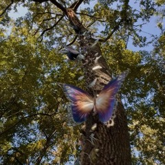 Chasing -Jon Keith Cover