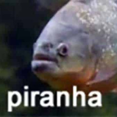 PSYRAINHA