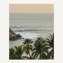 Zicatela Olas