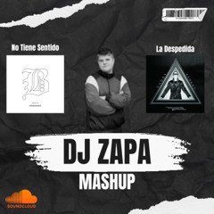 No Tiene Sentido x La Despedida I 𝘿𝙅 𝙕𝘼𝙋𝘼 *FILTRADO POR COPYRIGHT (DESCARGA GRATUITA)