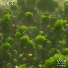 root + dooozii_shober_kashani [pk]