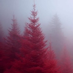tilfall - red forest (ft drxxl)