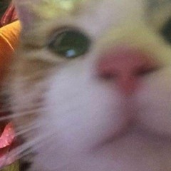 $MOKER414 - DRACUMEOW (unrelease)