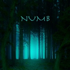 NUMB - vilam ft. llucid