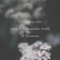 Blossoms (naviarhaiku611)