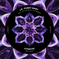 LR - Fussy Baby (Original Mix)