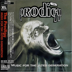 The Prodigy - Break And Enter (Thotte Schranz Bootleg) ~free dl