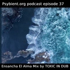 Psybient.org Podcast -37- Ensancha El Alma Mix by Toxic In Dub