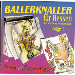 Hits der 70er Jahre (Ballerknaller-Version)