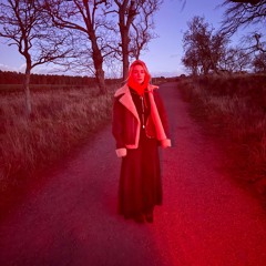 scarborough fair (cover)