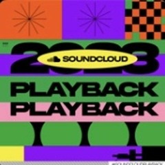 Literally my 2023 playback