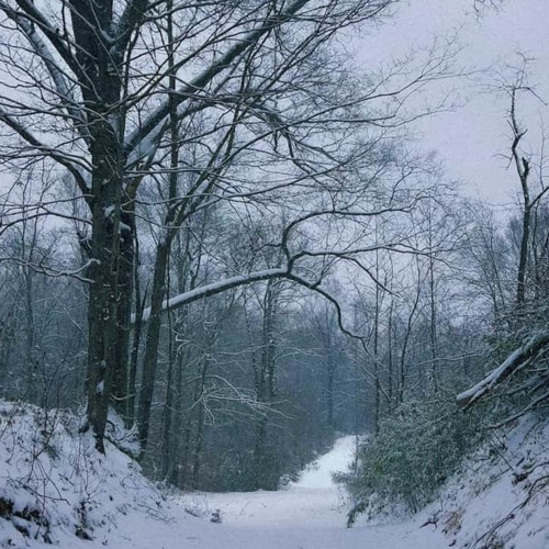 Servant 12-14-24.m4a