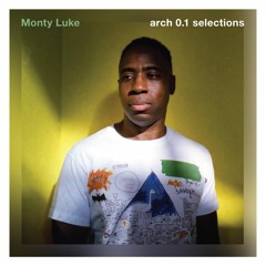 Monty Luke - arch 0.1 selections