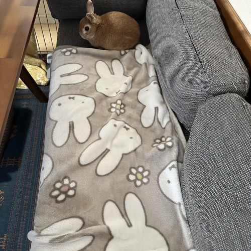 Mixes to build legos to