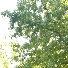 ANXIOUS (prod.*xengoocult)