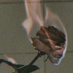Whispers in the dark