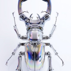 Tech House practice session 11/23/25