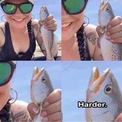 UNFINISHED PROJECT 2016 'Wobshop'