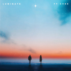 LUMINATE, CVSS - Stay