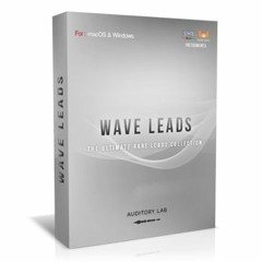 Wave Leads - Demo 1