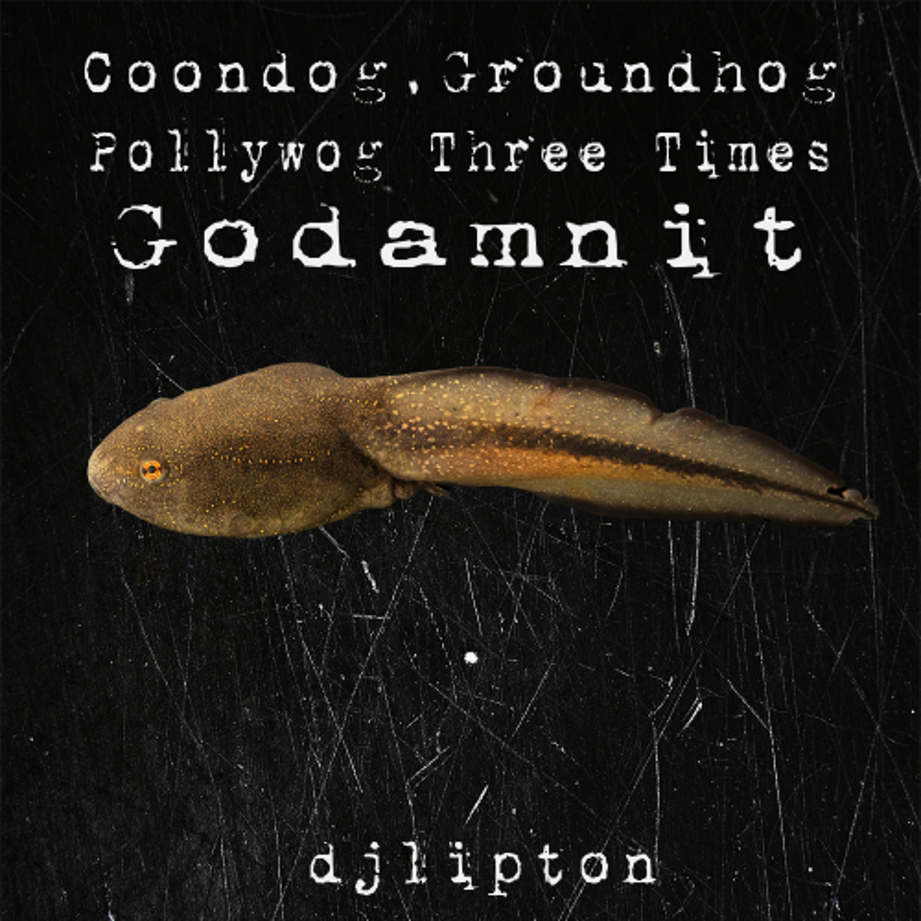 Coon Dog, Groundhog, Pollywog, Three Times Godamnit episode artwork