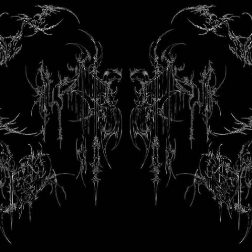 Am I dumb for the choices ive made