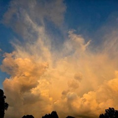 SoulStreamSessions003