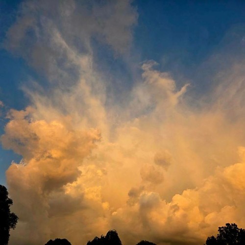 SoulStreamSessions003