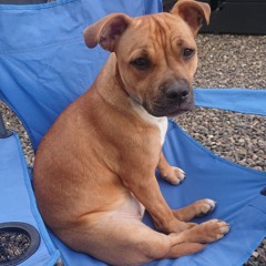 Emz Moir 2023 Remix Billy Gillies DNA Loving You Ft Hannah Boleyn Lee Keenan x Irwiin Remix