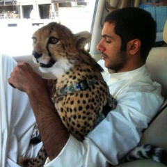 اريدك تسال عيونك وقلبك