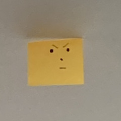 custer (pete la farge)