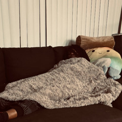 They Rather (kiseme)