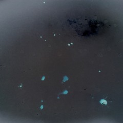 Alireza Rifle - Zarre (Instrumental)