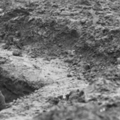 Four Frames Misaligned.m4a