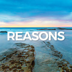 REASONS (extended mix)