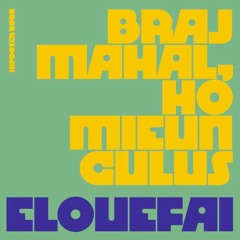 braj mahal, homieunculus - Elouefai