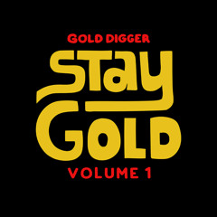 Houseium x Juice! the DJ - Catch The Vibe [Gold Digger]