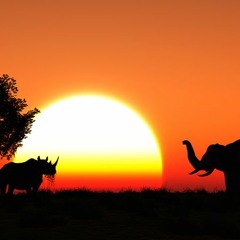 Rosh Pure Afro Vibes  06.02.2024