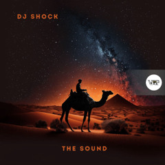 𝐏𝐑𝐄𝐌𝐈𝐄𝐑𝐄: Dj SHocK - The Sound [Camel VIP Records]