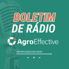 Qualificação técnica impulsiona formação de profissionais no Pampa Gaúcho