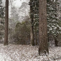 Can you stop this (Prod. tiresss)