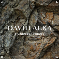 Tränen der Freude (Schranz Mix)